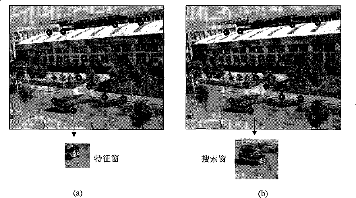 Full view stabilizing method based on global characteristic point iteration