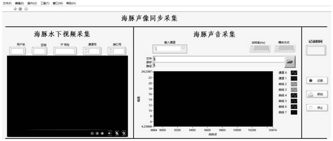 Synchronous sound and image acquisition system for dolphin