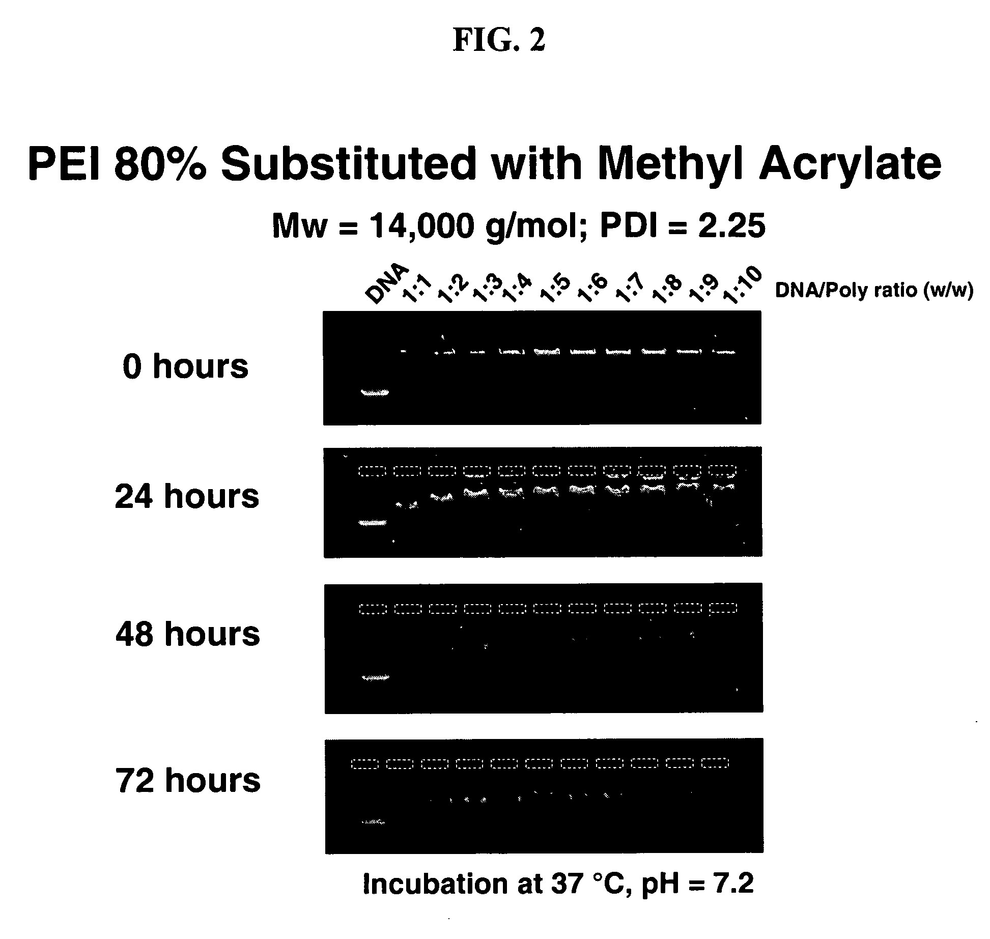 Charge-dynamic polymers and delivery of anionic compounds