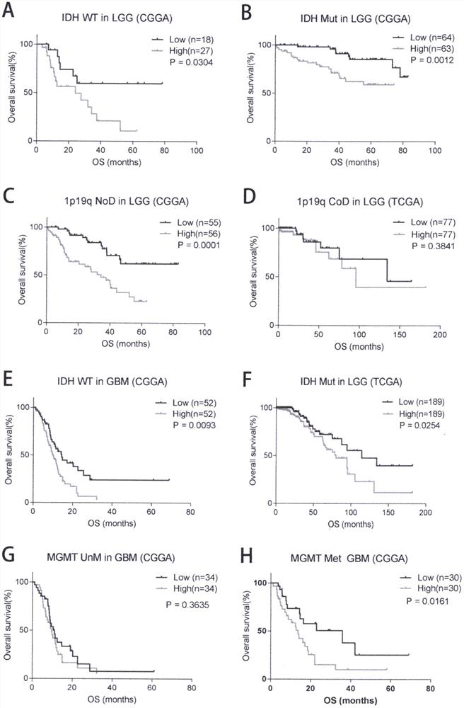 A method for evaluating clinical prognosis of glioma using immune co-stimulatory molecules