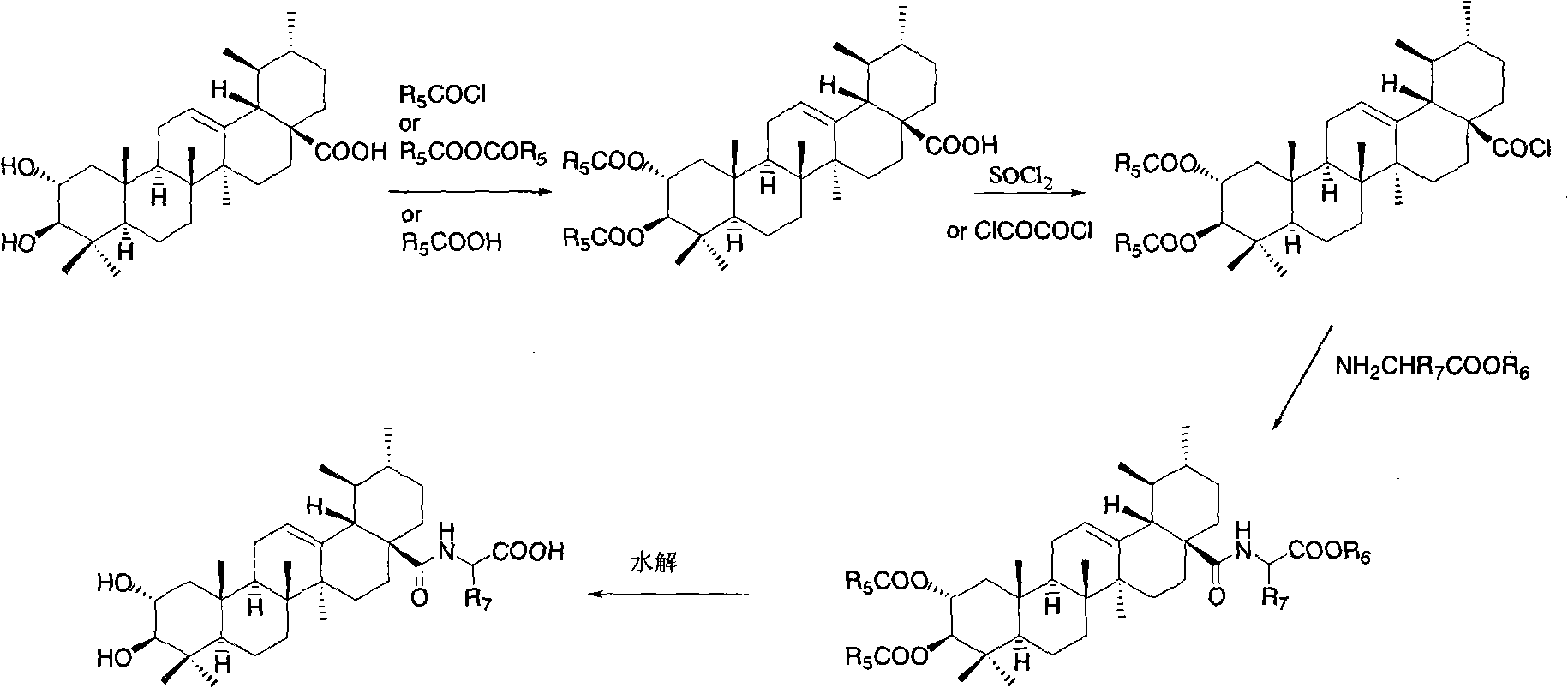 Bearberry type pentacyclic triterpenes amino acid derivates, method for preparing same and pharmaceutical use thereof