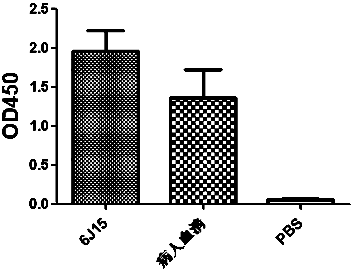 Anti-H7N9 whole-human monoclonal antibody 6J15 and preparation method therefor and application of anti-H7N9 whole-human monoclonal antibody 6J15