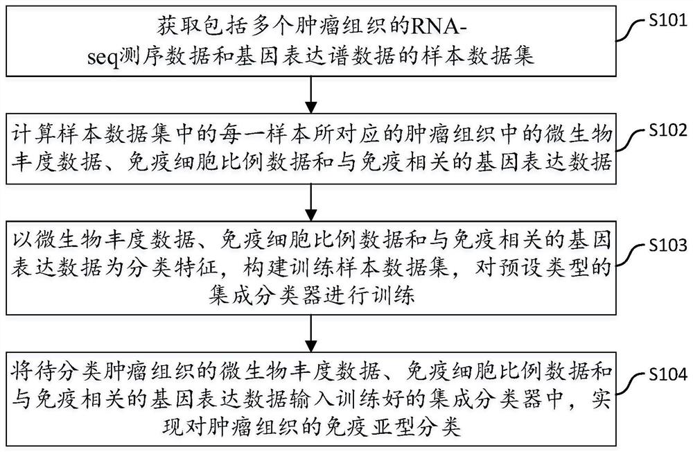 Tumor immune subtype classification method and system