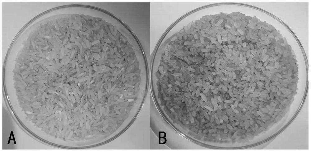 Preparation method of low-GI rice