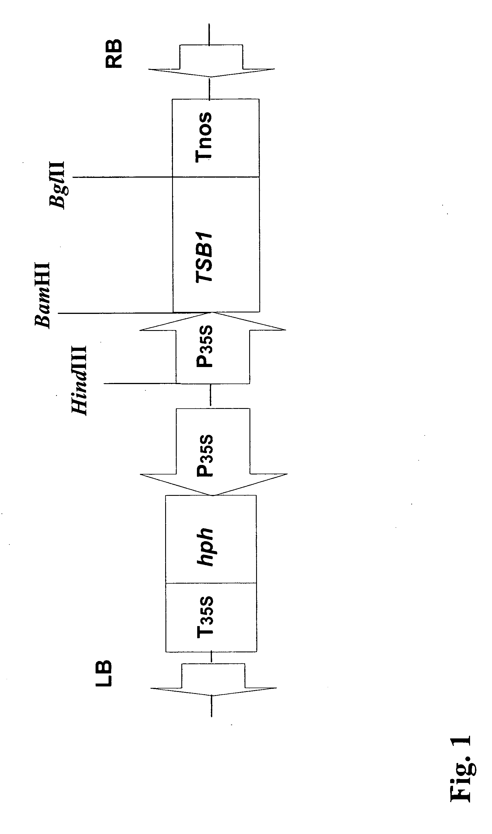 Non-antibiotic selection marker genes