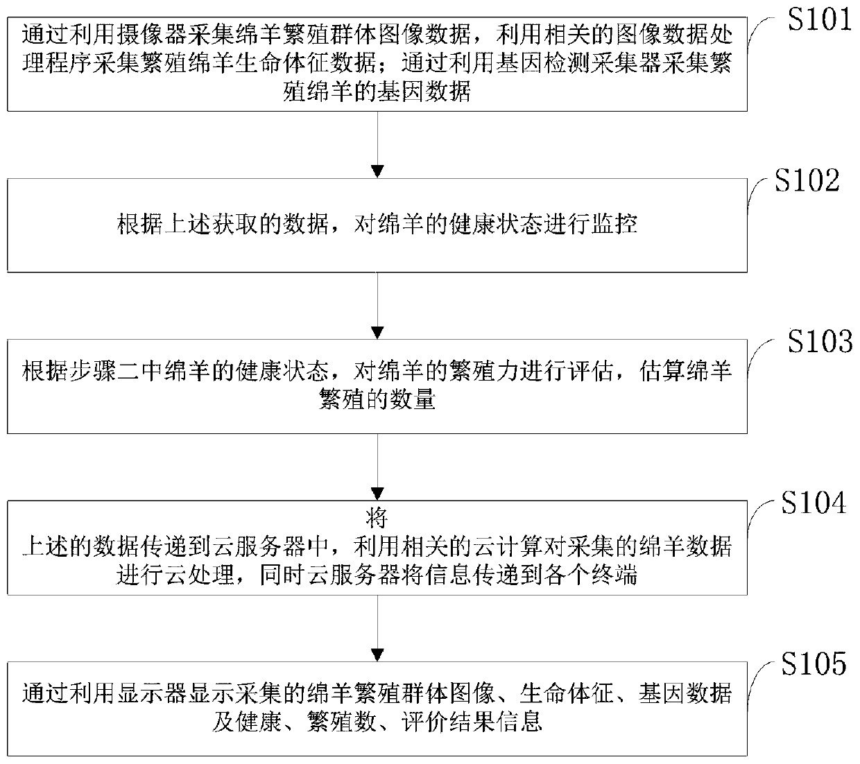 Intelligent sheep reproductive capacity detection system and method