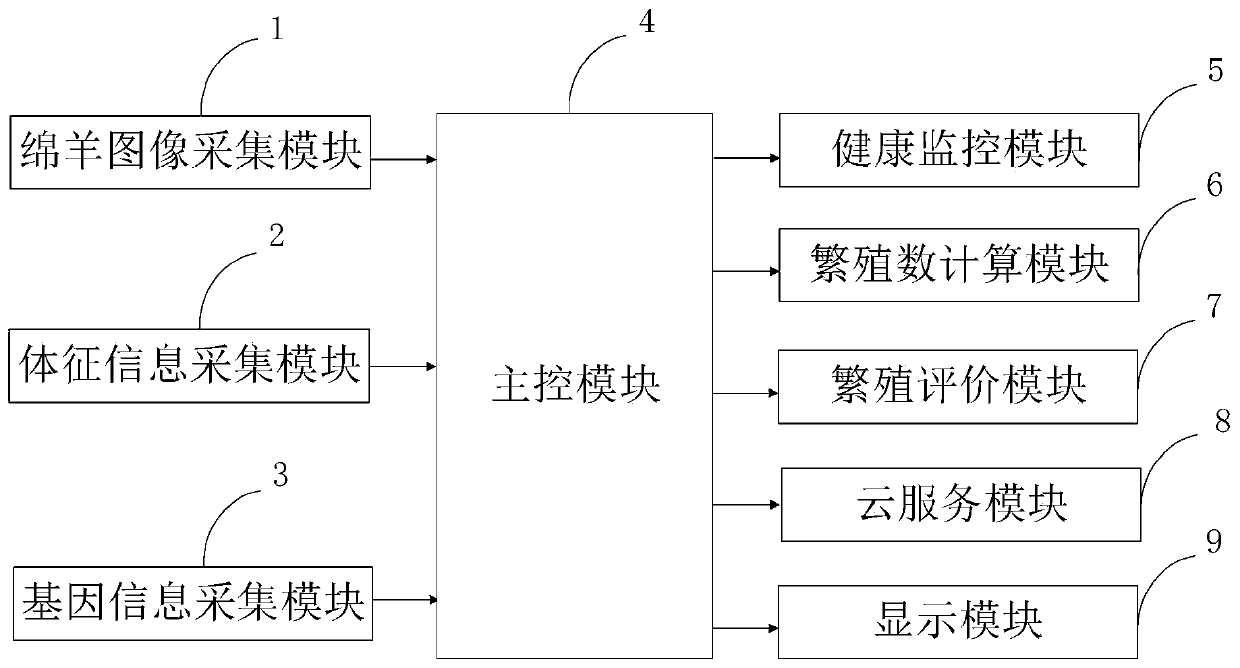 Intelligent sheep reproductive capacity detection system and method