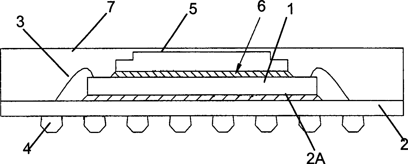 Chip ball grid array packaging structure