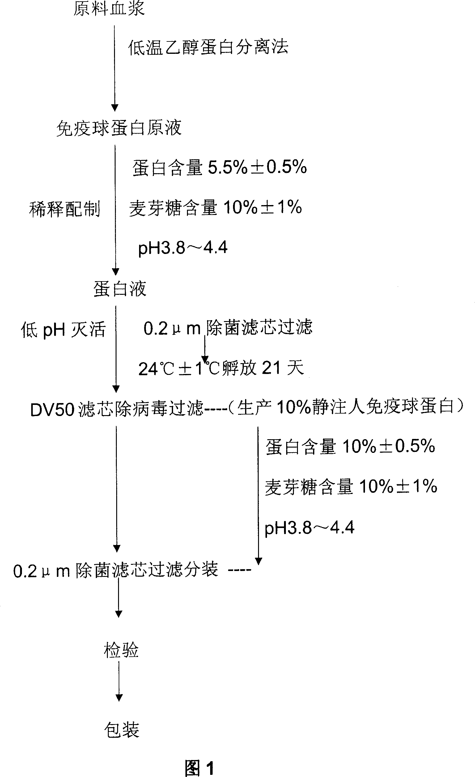 Production process of human immune globulin for intravenous injection