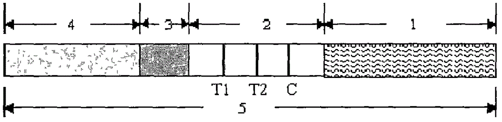 Fourth-generation HIV (Human Immunodeficiency Virus) antibody antigen test paper