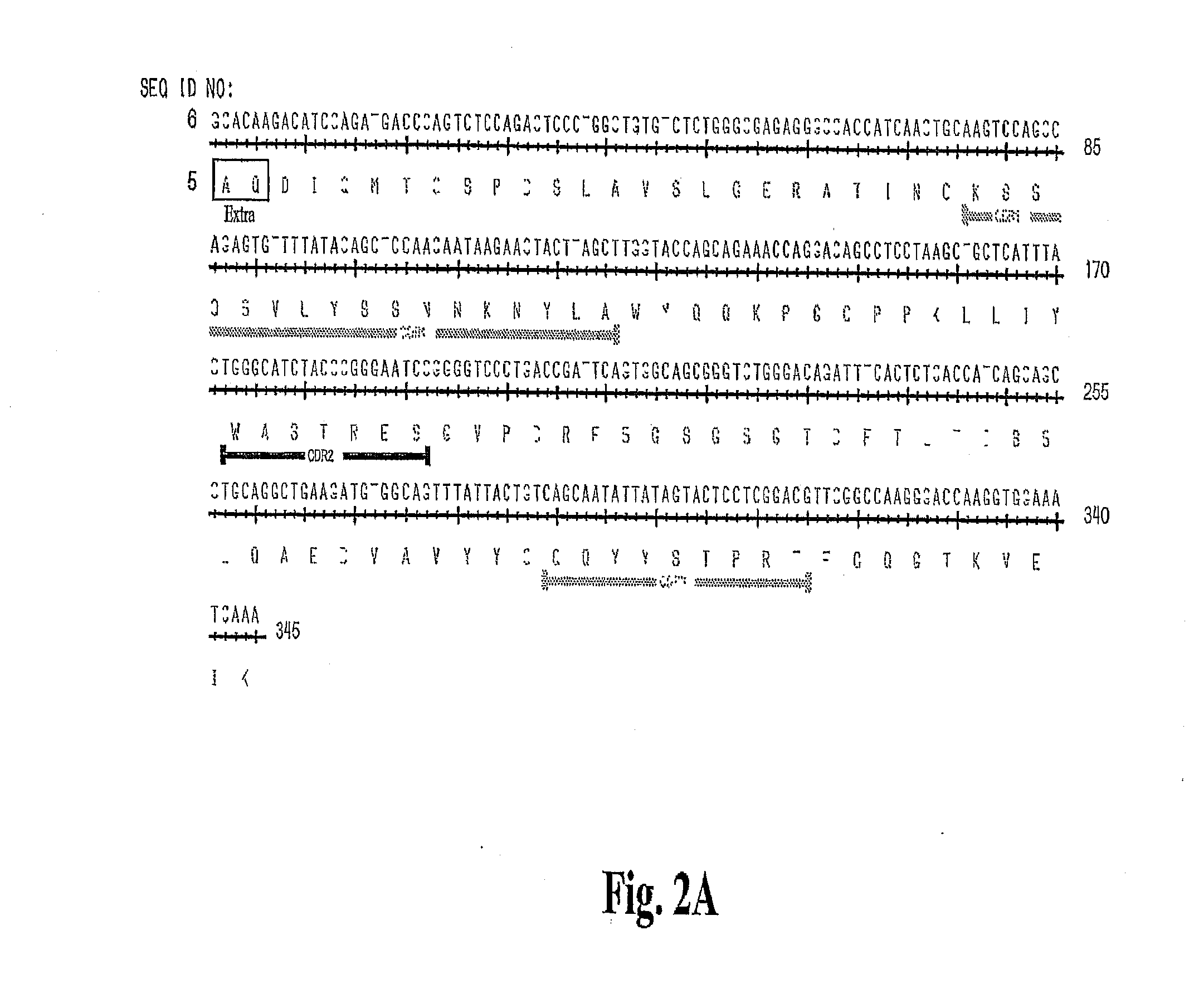 High Affinity Antibodies Against HMGB1 and Methods of Use Thereof