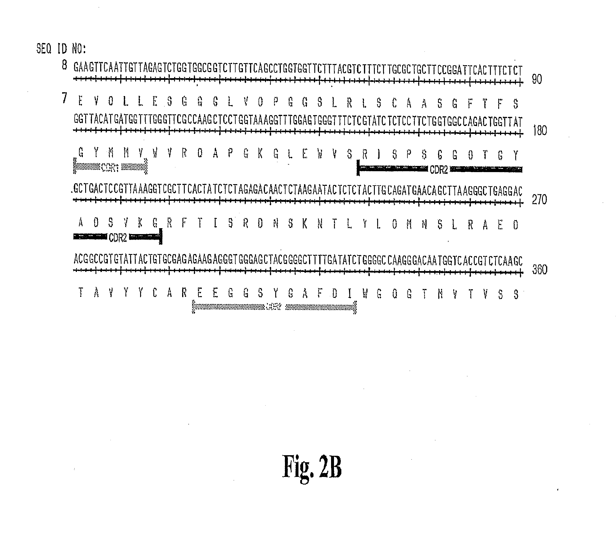 High Affinity Antibodies Against HMGB1 and Methods of Use Thereof