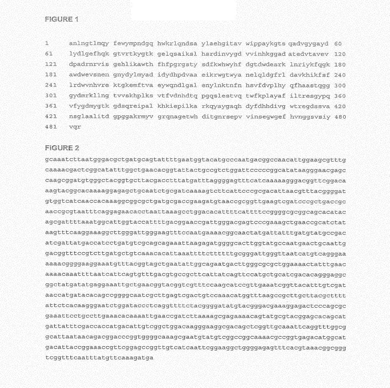 Alpha amylases in feed