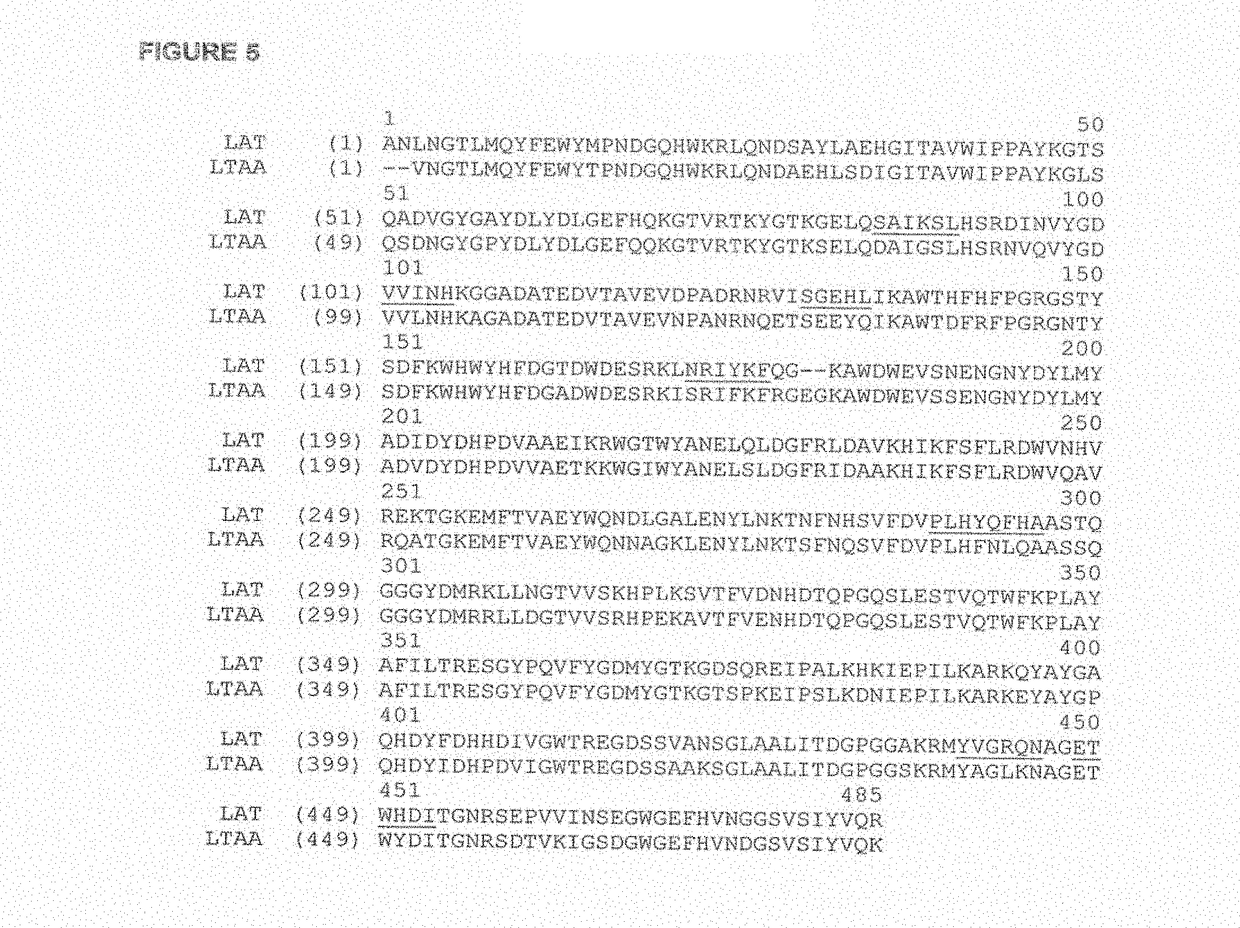 Alpha amylases in feed