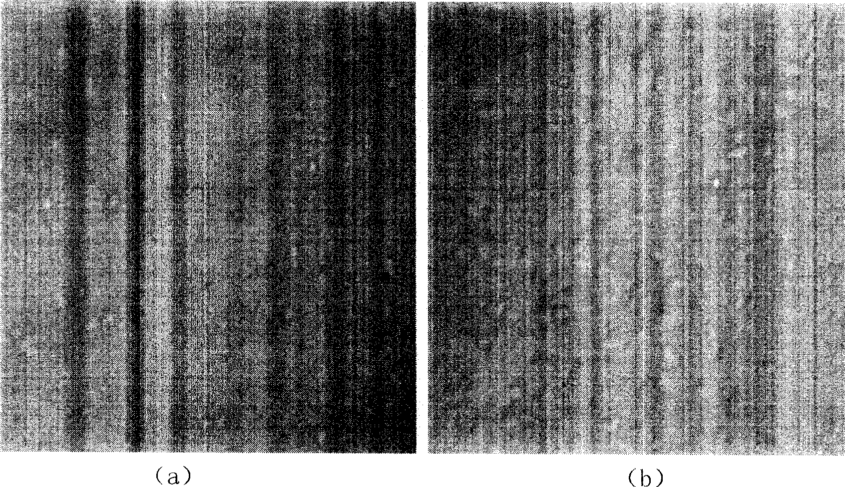 Short peptide suppressing growth of cancer cell and uses thereof