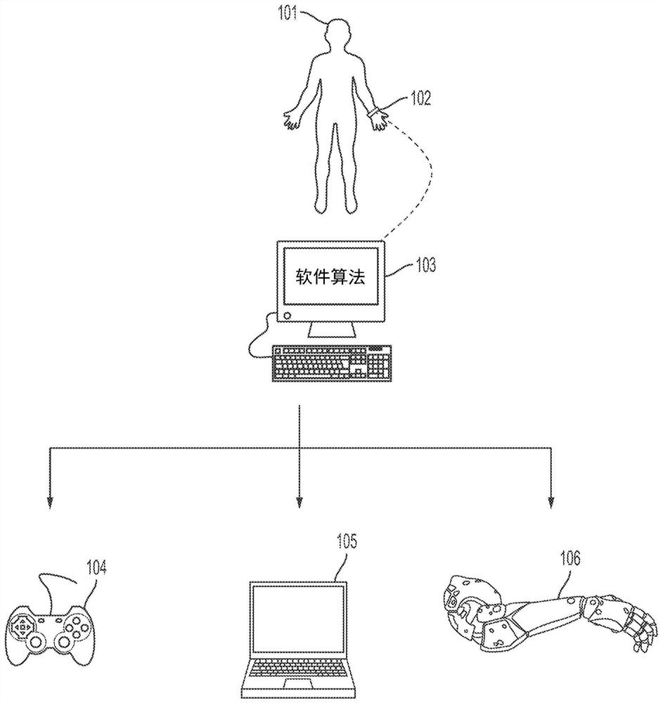 Adaptive systems for deriving control signals from neuromuscular activity measurements