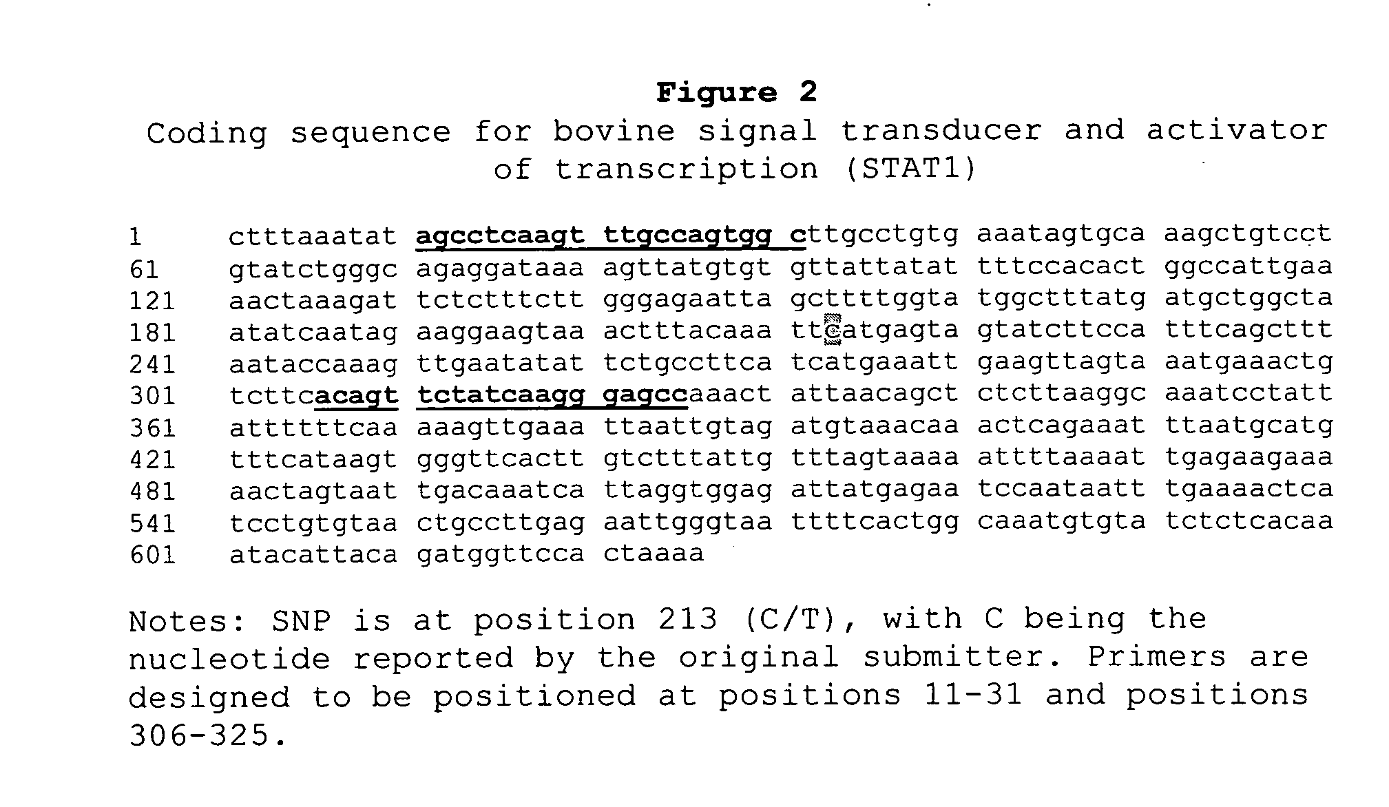 Dairy cattle breeding for improved milk production traits in cattle