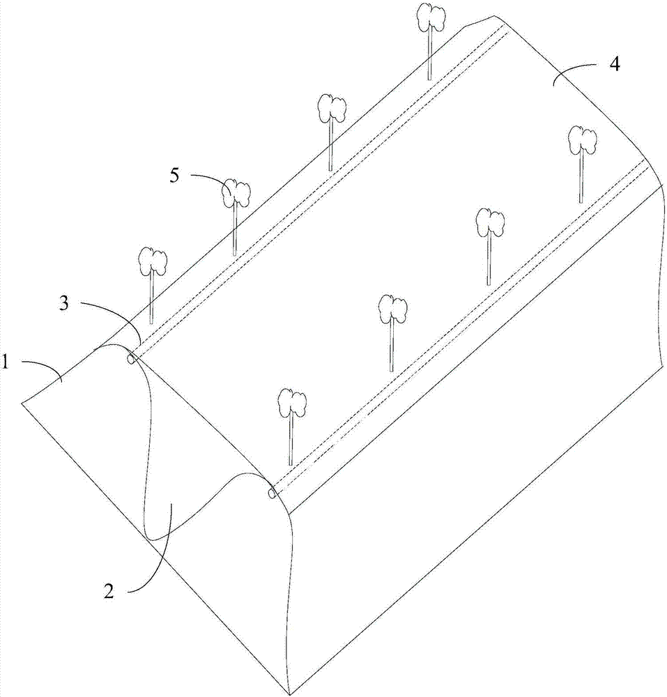 Furrow and drip irrigation under mulch covered conduit cultivation method