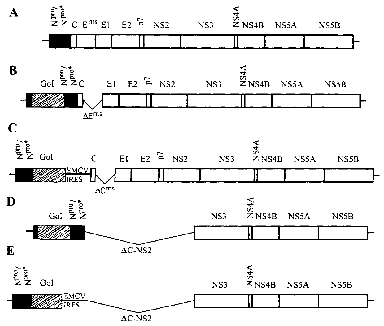 Pestivirus replicons providing an RNA-based viral vector system