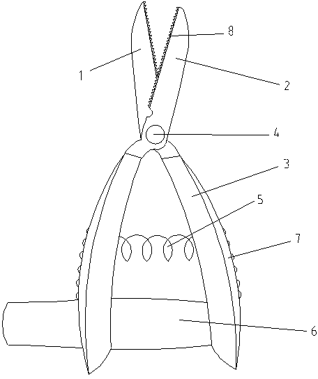 Novel pruning shears