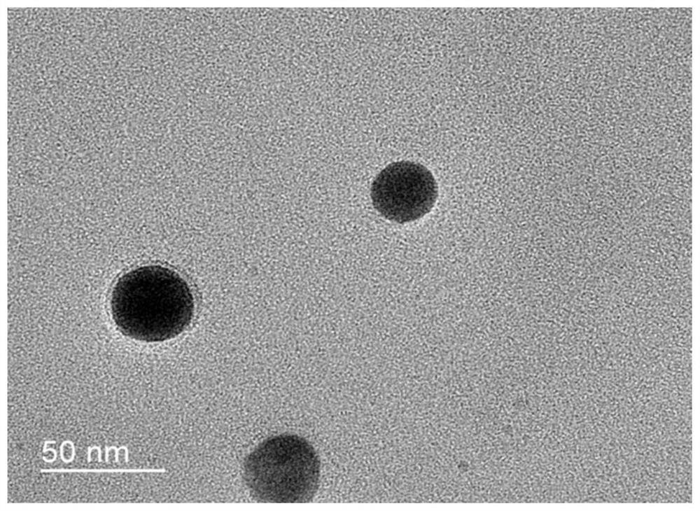 A kind of nano-selenium hydrosol and its preparation method and application