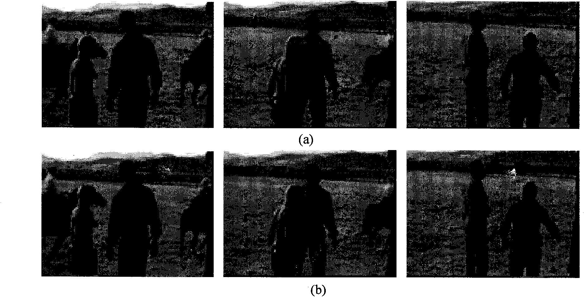 Mean shift-based video target tracking method