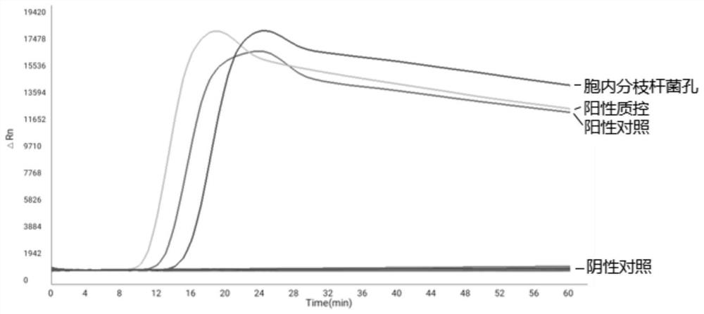 Microfluidic detection system for identifying nontuberculous mycobacterium strains