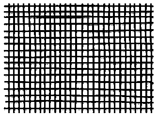 Hybrid fiber grid fabric reinforced polypropylene compound filtering plate and preparation method thereof