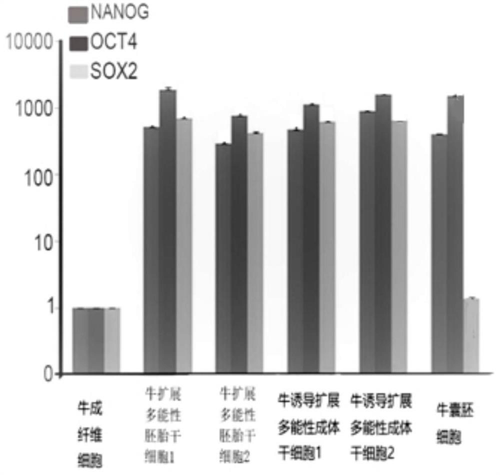 Line establishment method and culture solution for bovine expanded pluripotent embryonic stem cells