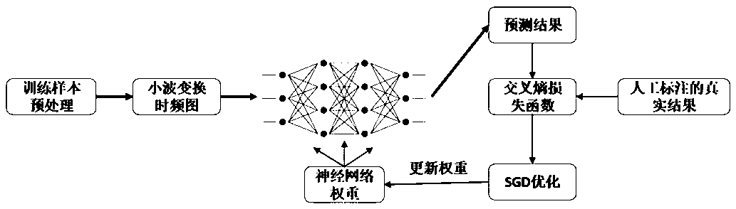 Convolutional neural network information processing system based on cardiac function monitoring and training method