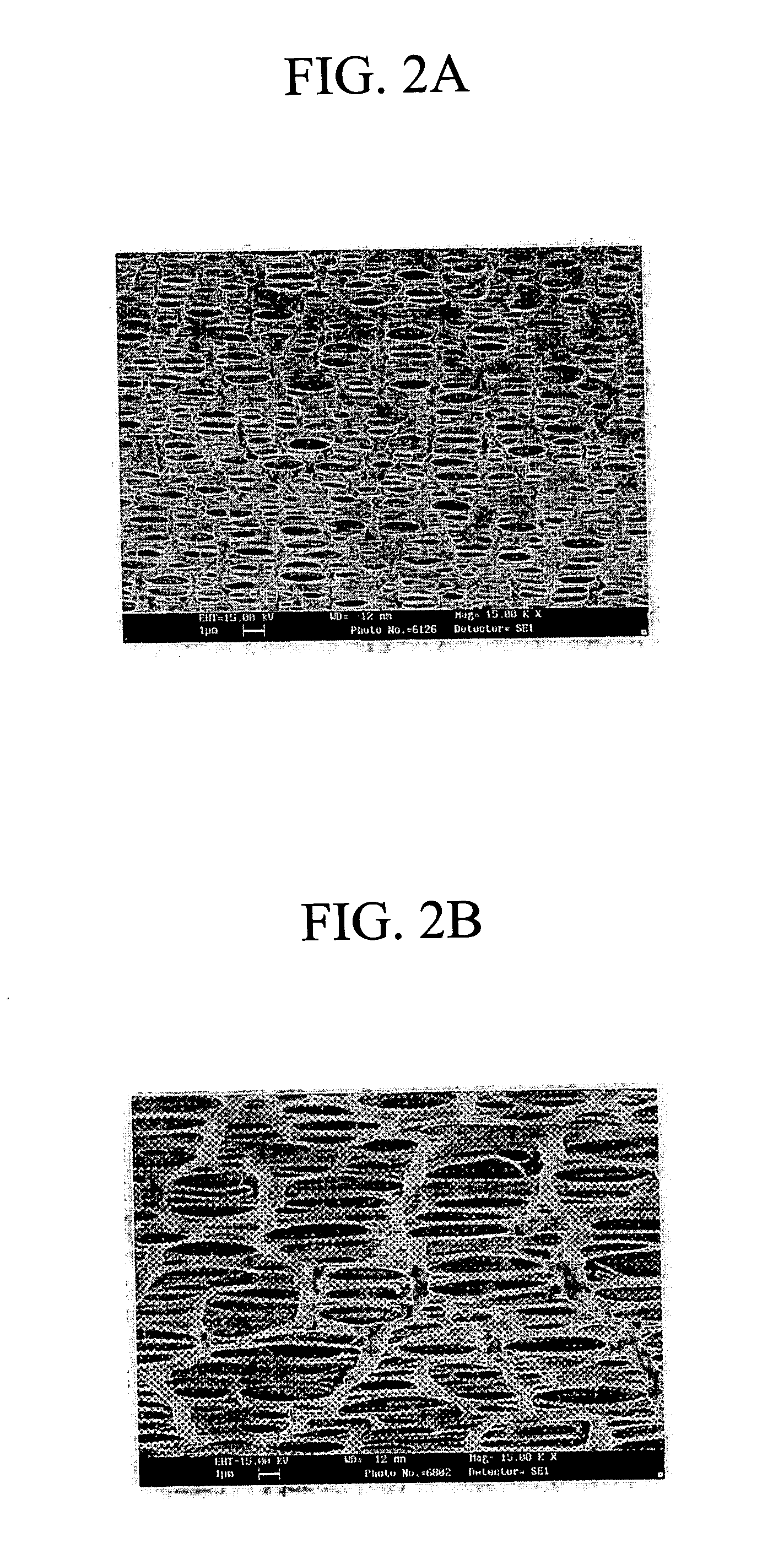 Preparation of asymmetric polyethylene hollow fiber membrane