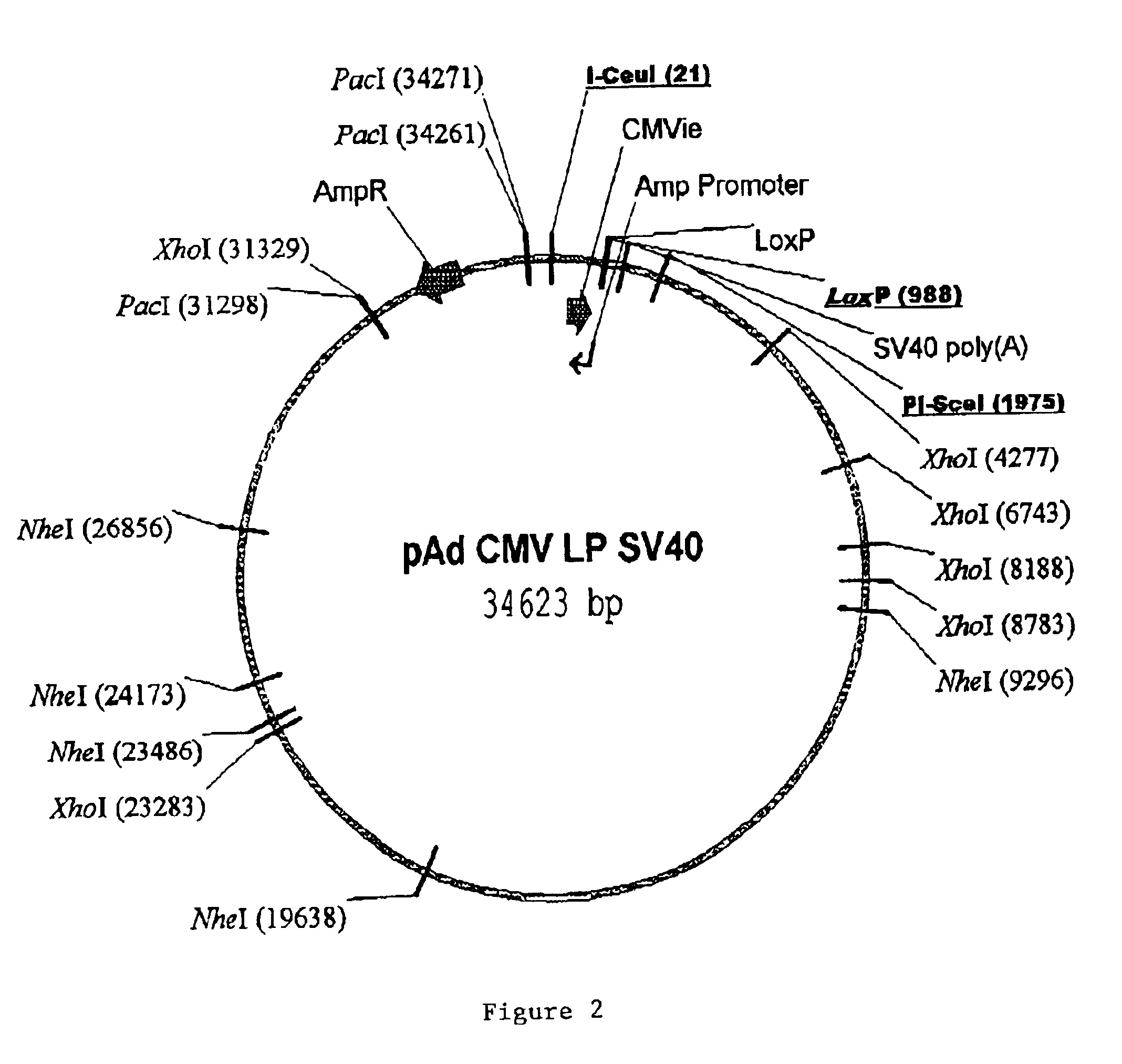 Site specific recombinase based method for producing adenoviral vectors