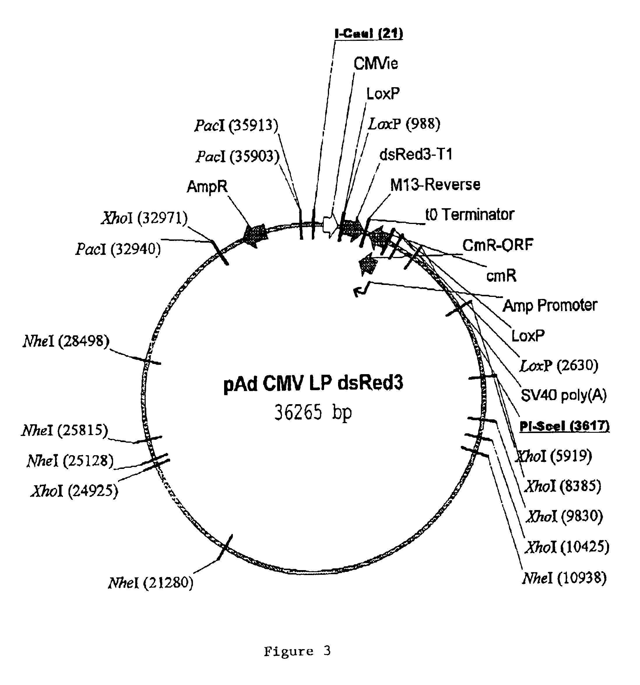 Site specific recombinase based method for producing adenoviral vectors