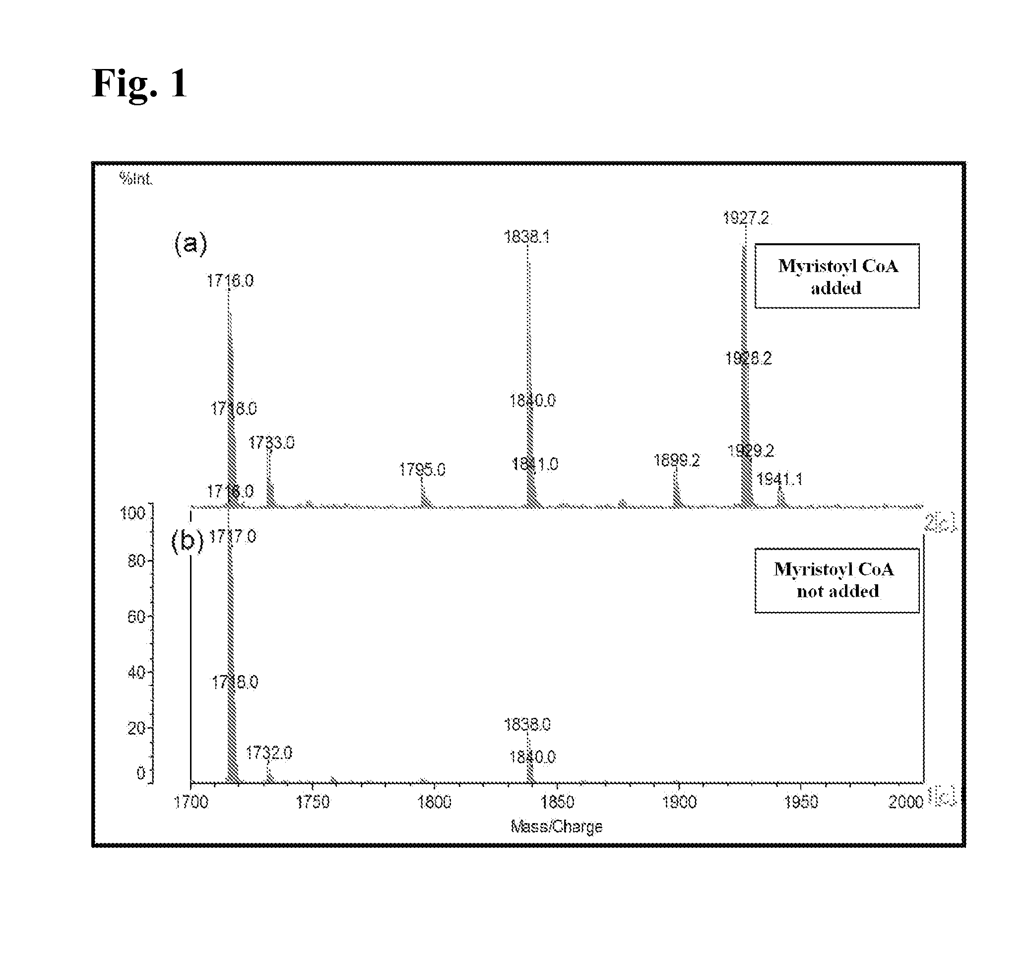 Cell-free protein synthesis for controlling introduction of modification group into protein