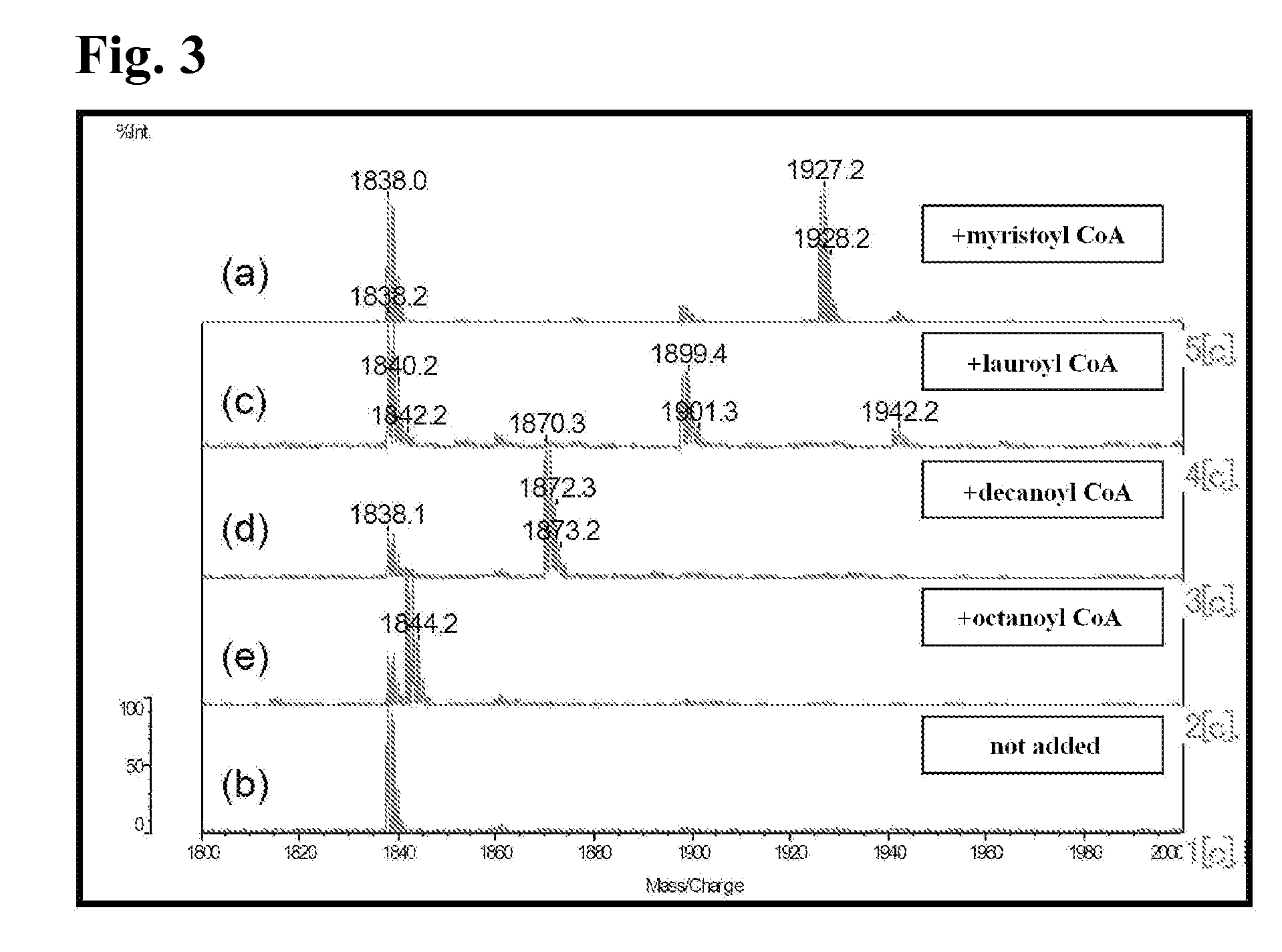 Cell-free protein synthesis for controlling introduction of modification group into protein