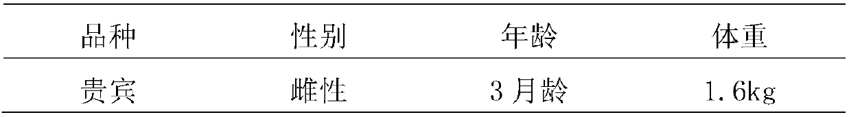 Compound betamethasone 17-valerate otic gel used for pet and preparation method of compound betamethasone 17-valerate otic gel