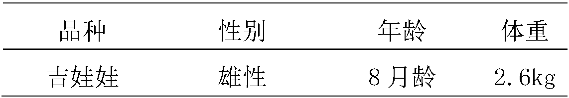 Compound betamethasone 17-valerate otic gel used for pet and preparation method of compound betamethasone 17-valerate otic gel