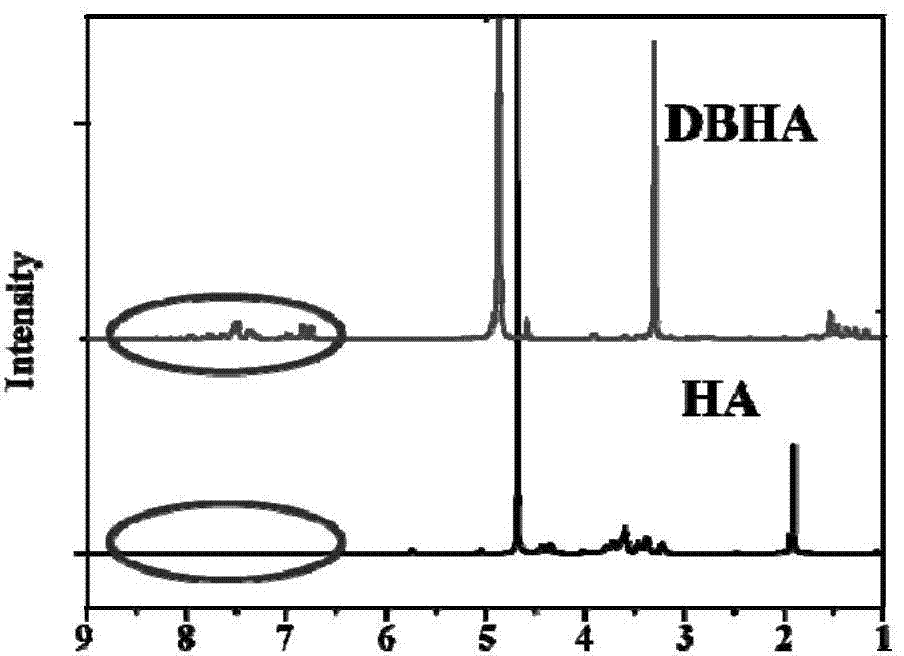 Diiodostyrene type boron fluoride dipyrrole-hyaluronic acid as well as preparation method and application thereof