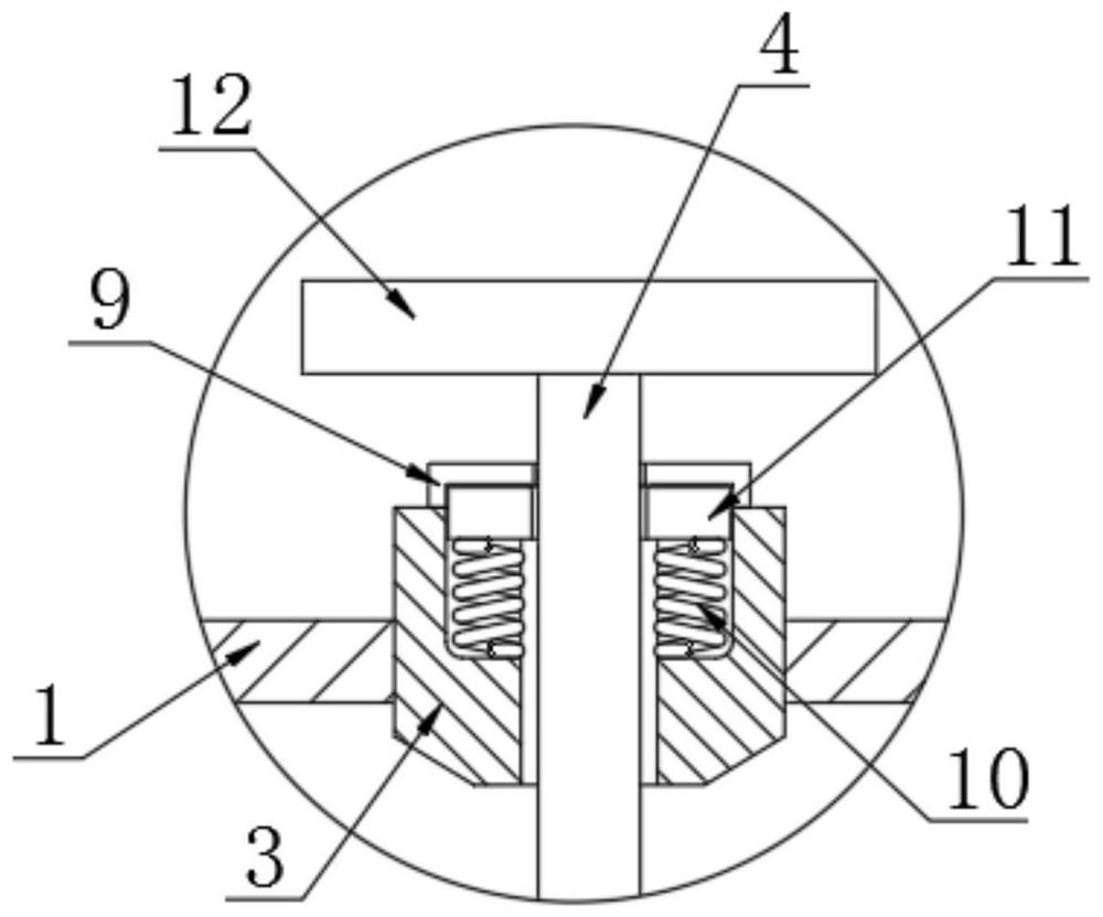 Agricultural vegetable rack dropper equipment