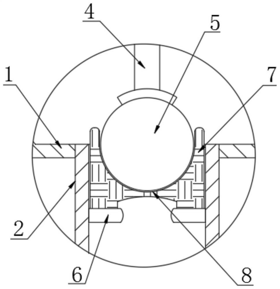 Agricultural vegetable rack dropper equipment