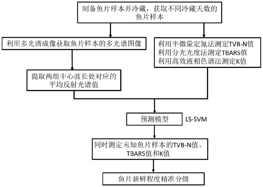 Near-infrared multispectral imaging method for rapid and non-destructive evaluation of fish fat oxidation degree