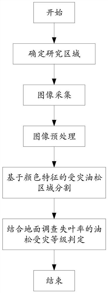 A method for judging the damage level of Chinese pine and its judging system