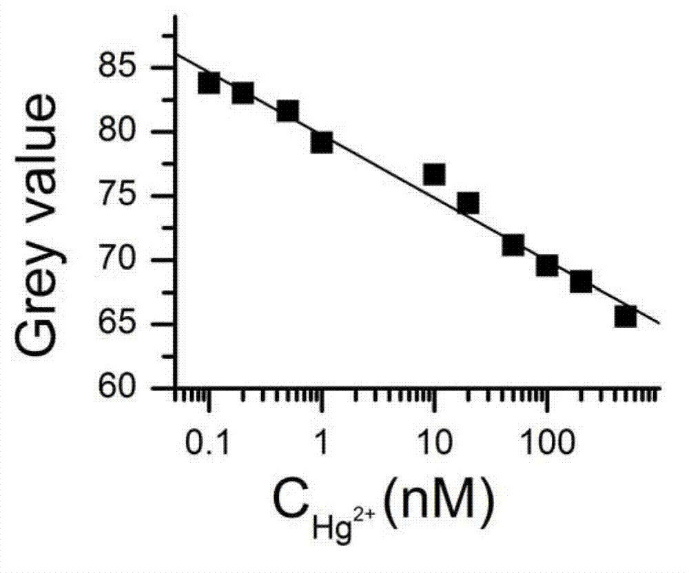 Method for quantitative detection of mercury ions through gold label silver stain and kit thereof