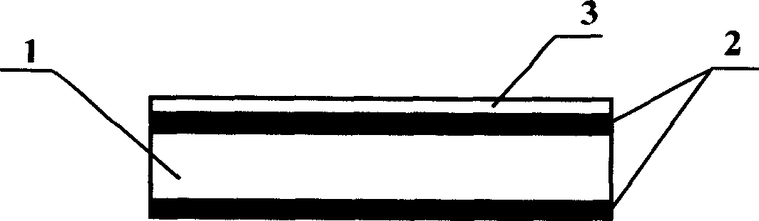 Preparing method for epidermis needle and its application