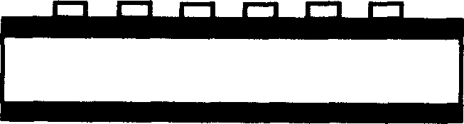 Preparing method for epidermis needle and its application