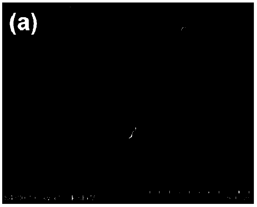 Coating material based on graphene nanometer container, and self-repairing coating, preparation method and applications thereof