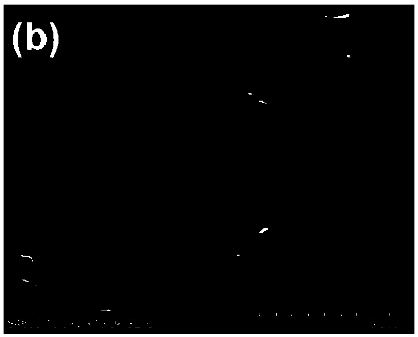 Coating material based on graphene nanometer container, and self-repairing coating, preparation method and applications thereof