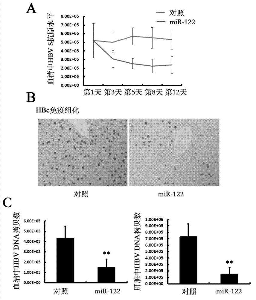 Application of RNA and carrier in preparation of product for preventing and/or treating liver cancer