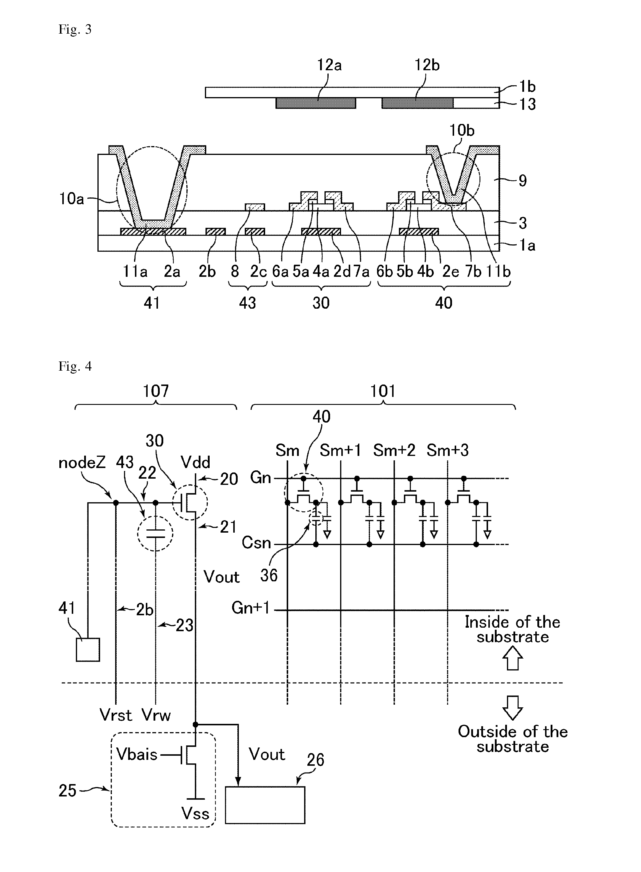 Ion sensor, display device, method for driving ion sensor, and method for calculating ion concentration