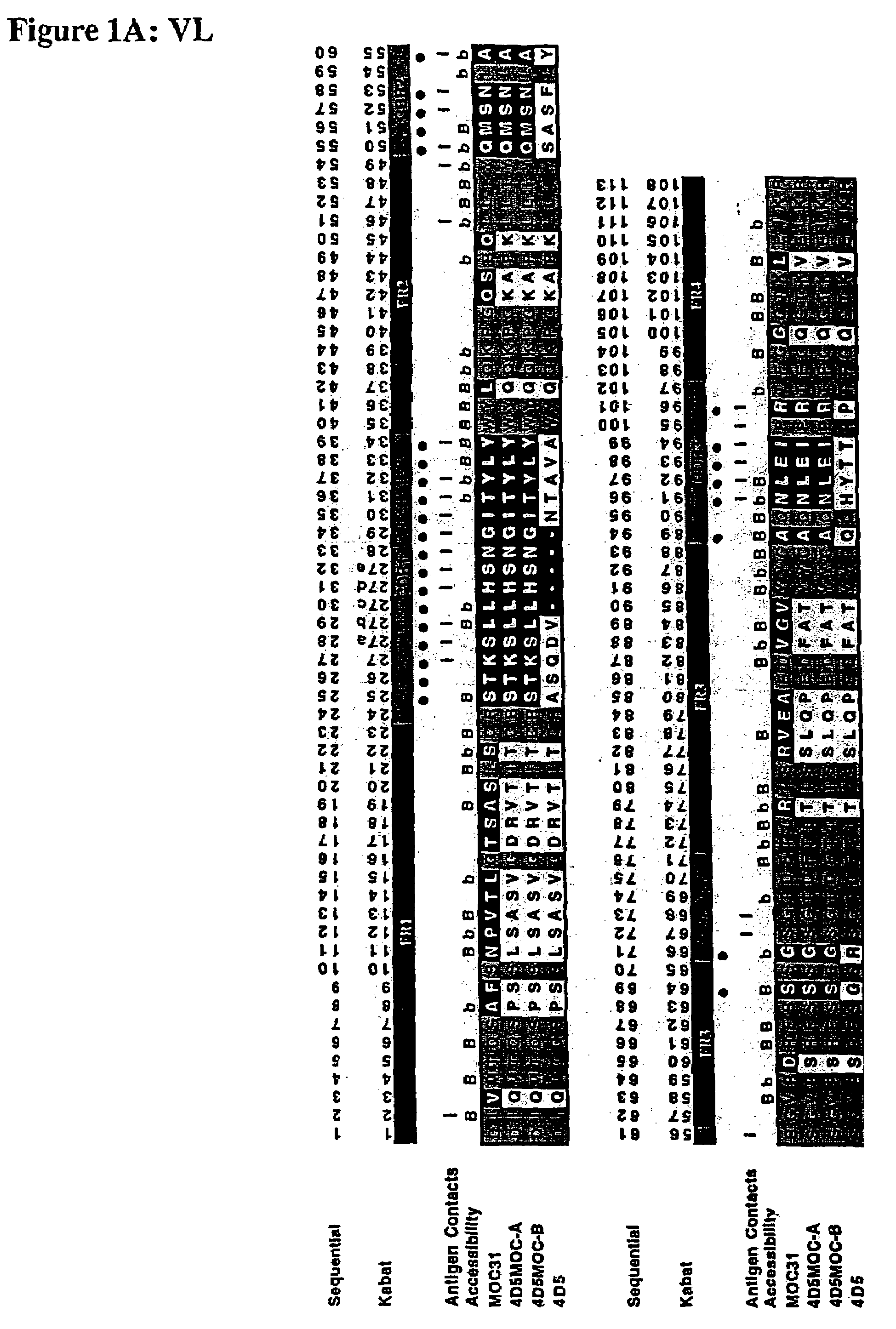 Method for the stabilization of chimeric immunoglobulins or immunoglobulin fragments, and stabilized anti-EGP-2 scFv fragment